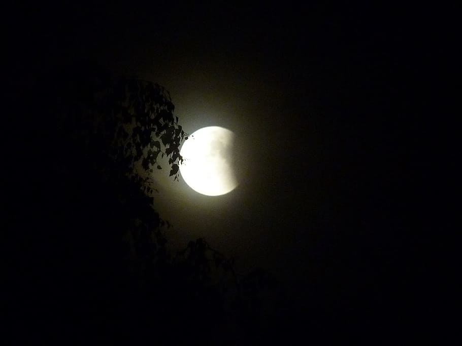 lunar eclipse, night, moon, sky, black and white, night photograph HD wallpaper