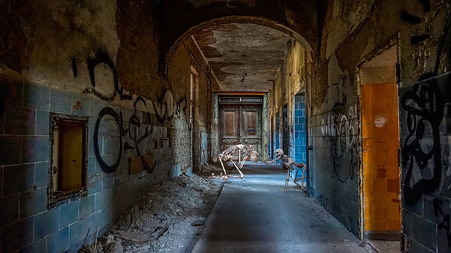 skeleton, bone, old building, architecture, house, undead, grafitti HD wallpaper