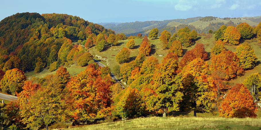 excursion, trees, autumn, trail, mountain, the european path HD wallpaper