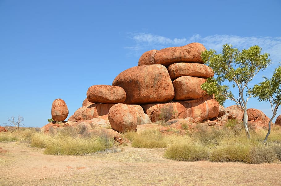 green leafed tree near brown rocks, devils marbles, karlu karlu HD wallpaper