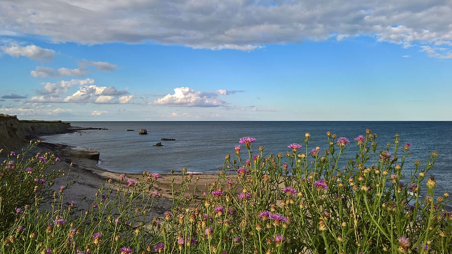 sea, landscape, sky, panoramic, nature, water, seashore, summer HD wallpaper