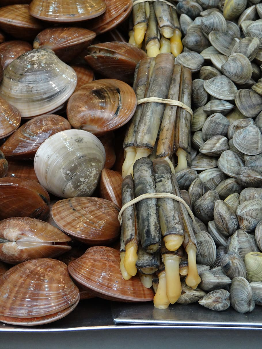 mussels, market, malaga, fish, food, eat, frisch, spain, food and drink HD wallpaper