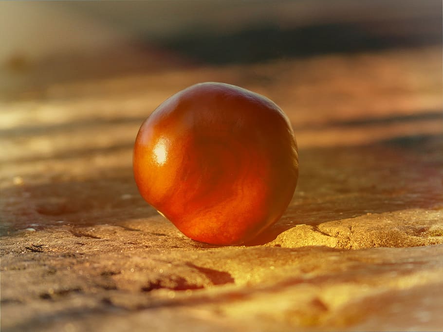 chestnut, ground, stone floor, lighting, sunlight, retro look HD wallpaper