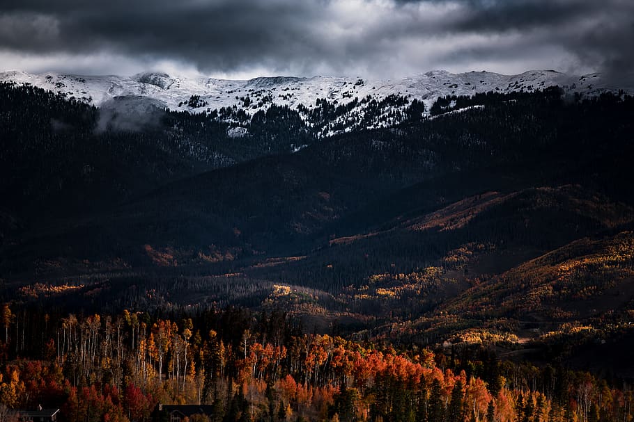 mountains with snow, aerial photography of trees distance with mountains HD wallpaper