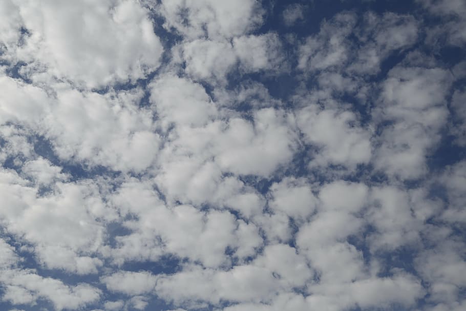 clouds, sky, blue, nature, cumulus, fluffy, outdoors, cloudscape HD wallpaper
