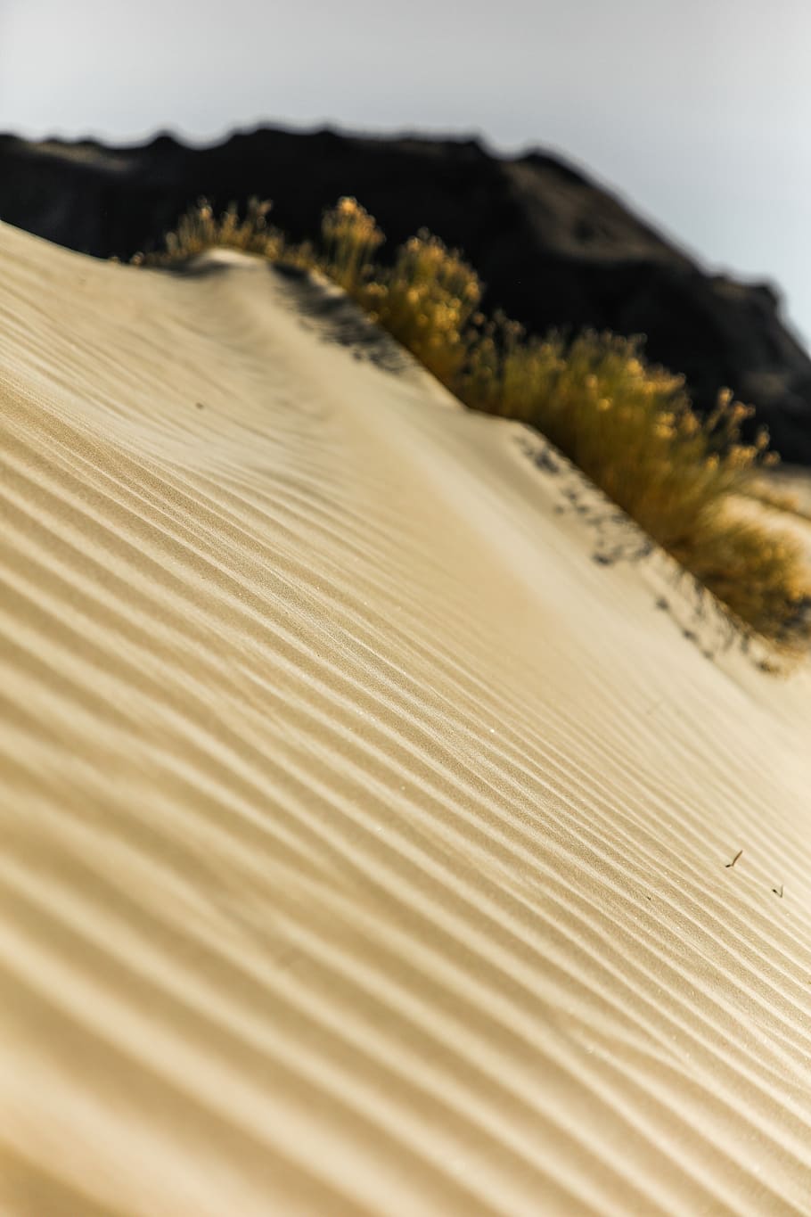 selective focus photography of brown sand, mountain near green plant at daytime HD wallpaper