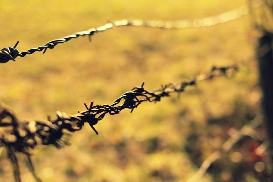 barrier, fall, spice, closing, efence, security, safety, protection HD wallpaper