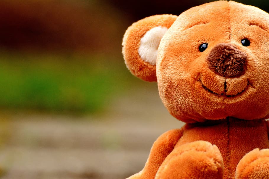 closeup photography of brown bear plush toy, teddy, cute, animal, HD wallpaper
