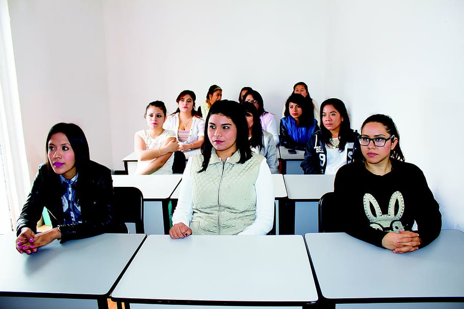 group of women sitting on chair, college, class, students, people HD wallpaper