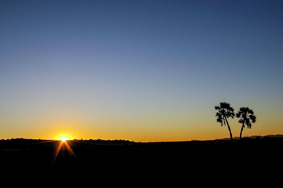 namibia, africa, sunset, palm trees, evening sky, mood, nature HD wallpaper