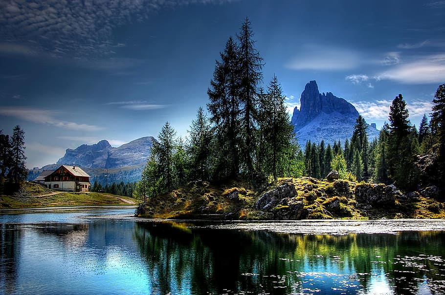 body of water with pine trees, lago federa, dolomites, nature, HD wallpaper