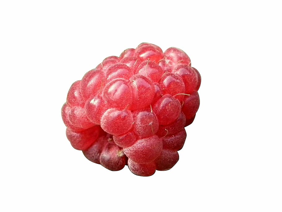 Raspberry, close up, red, fruit, food, berry Fruit, freshness HD wallpaper
