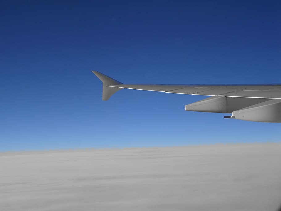 plane, sky, travel, air vehicle, blue, airplane, aircraft wing HD wallpaper