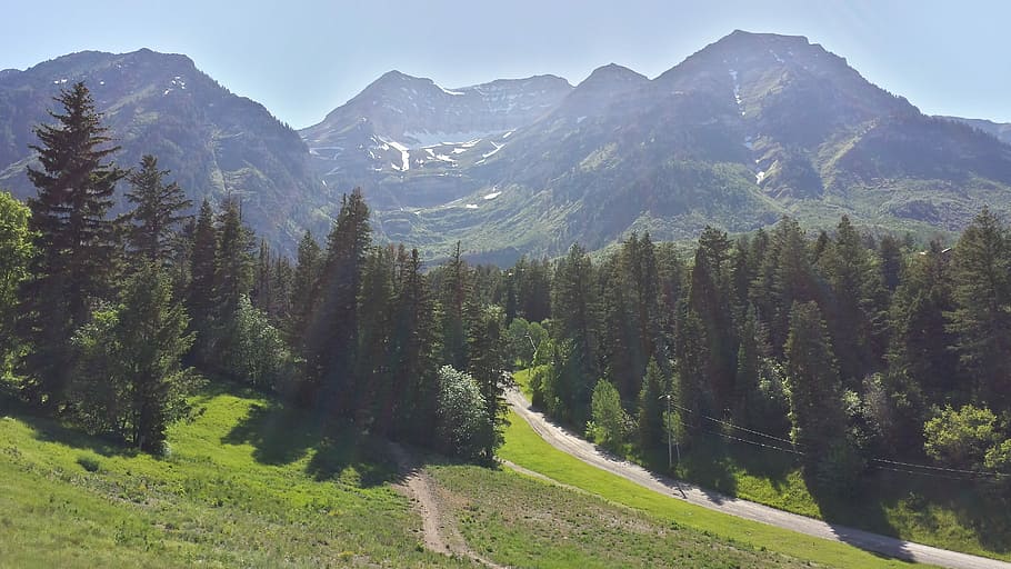 Mountains, Meadow, Utah, mountain range, day, nature, tree HD wallpaper