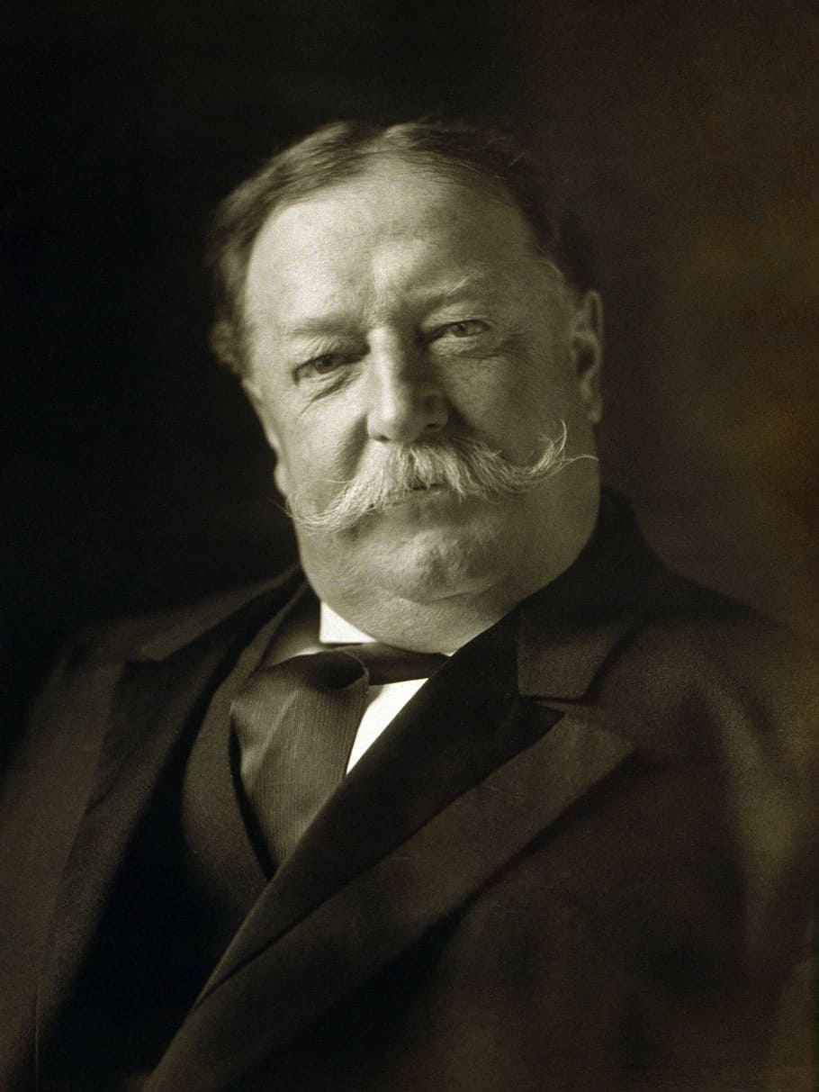 HD wallpaper: William Howard Taft Portrait, president, public domain,  people | Wallpaper Flare