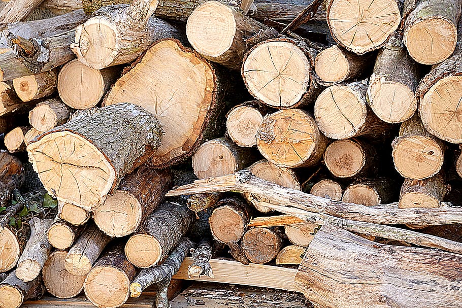 pile of brown wood logs, plants, tree, branch, trunk, cut, fall HD wallpaper