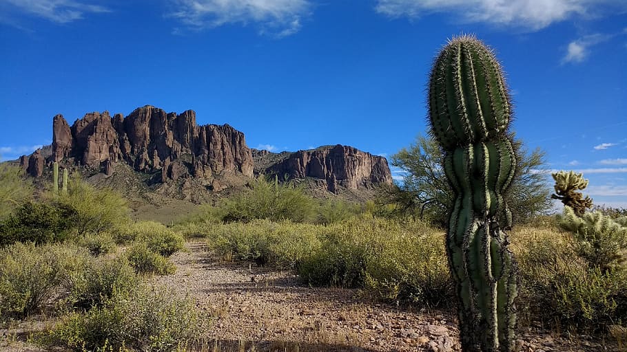 Superstition Mountain, Cactus, blue, desert, arizona, scenic, HD wallpaper