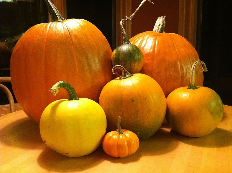 pumpkin, fall, harvest, orange, autumn, halloween, thanksgiving HD wallpaper