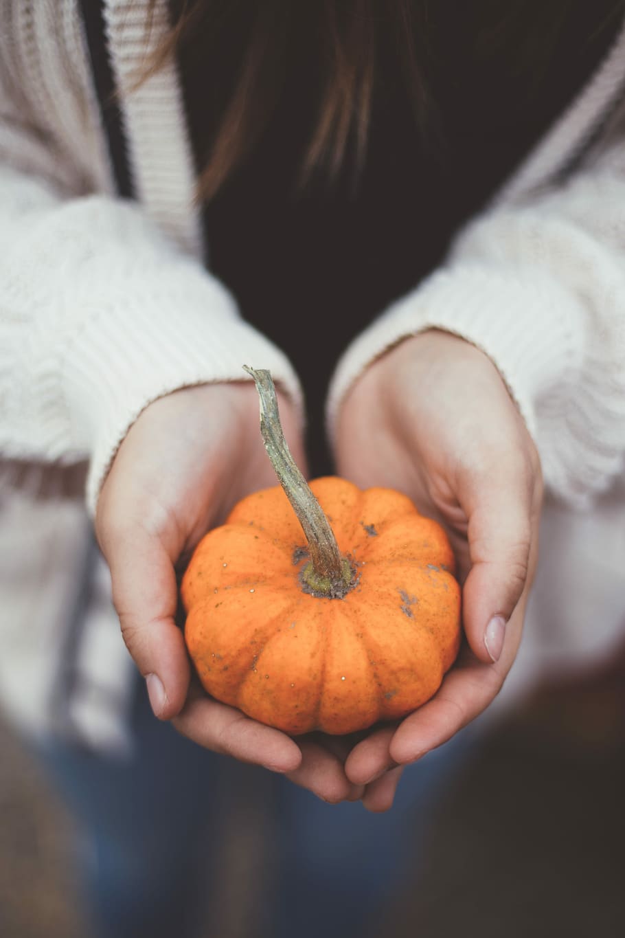 person holding pumpkin, pumpkin in person's hand, human hand HD wallpaper