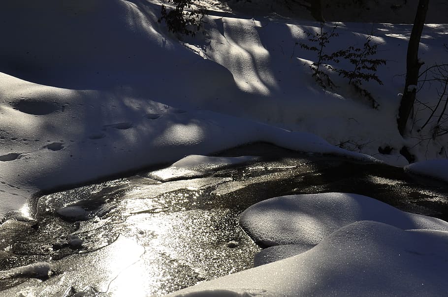 Winter, Water, Ice, White, Torrent, Snow, snowy, cold, frost HD wallpaper