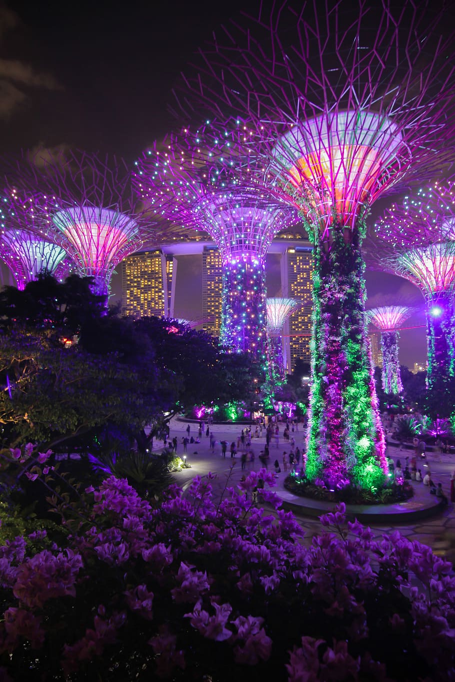 Garden's by the Bay, Singapore during nighttime, Marina Bay Sands, Singapore