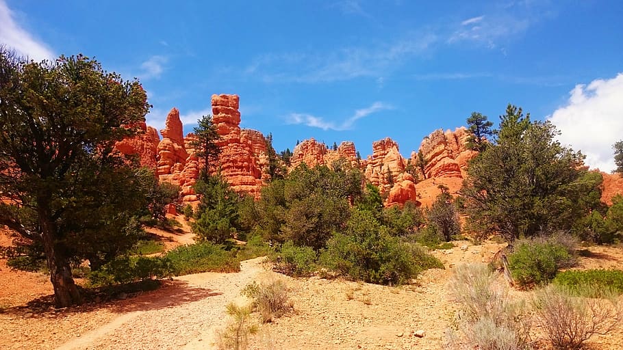 tree, mountain, desert, sun, sky, warm, nature, uSA, landscape HD wallpaper