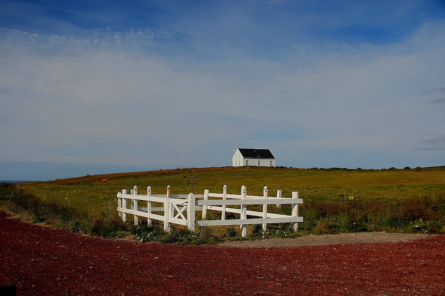 white and black house beside field, iceland, campaign, farm, fiels, HD wallpaper