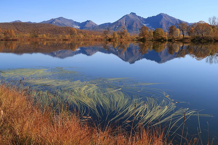 autumn, lake, mountains, reflection, weed, forest, golden autumn HD wallpaper