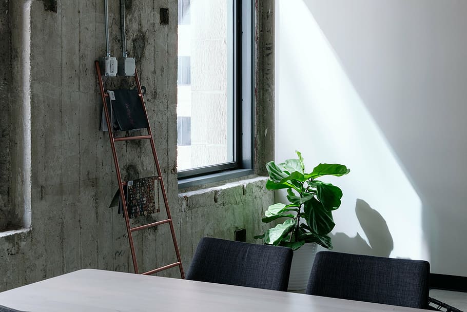 brown ladder leaning on wall near green leafed plant, table HD wallpaper