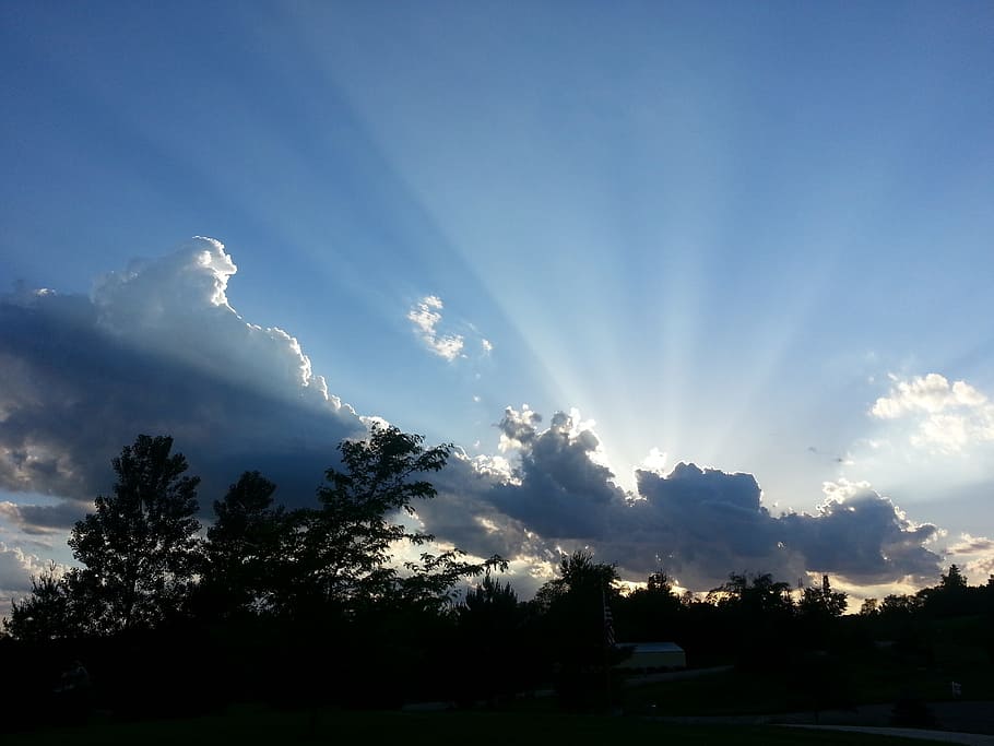silhouette photo of trees, Sun, Rays, Inspiration, Light, sky HD wallpaper