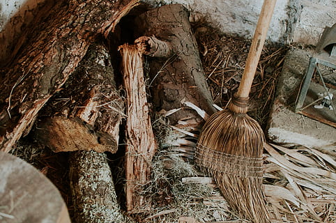 brown broom beside log, trunk, old, dry, chop, steel, wood HD wallpaper