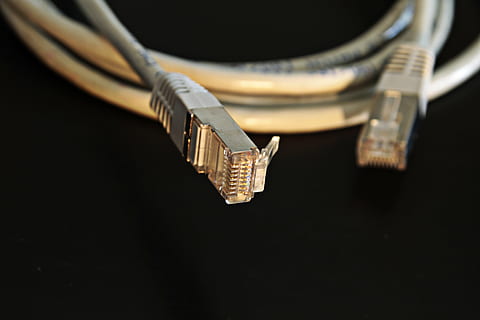 closeup photo Ethernet cable, network, network cables, connection HD wallpaper