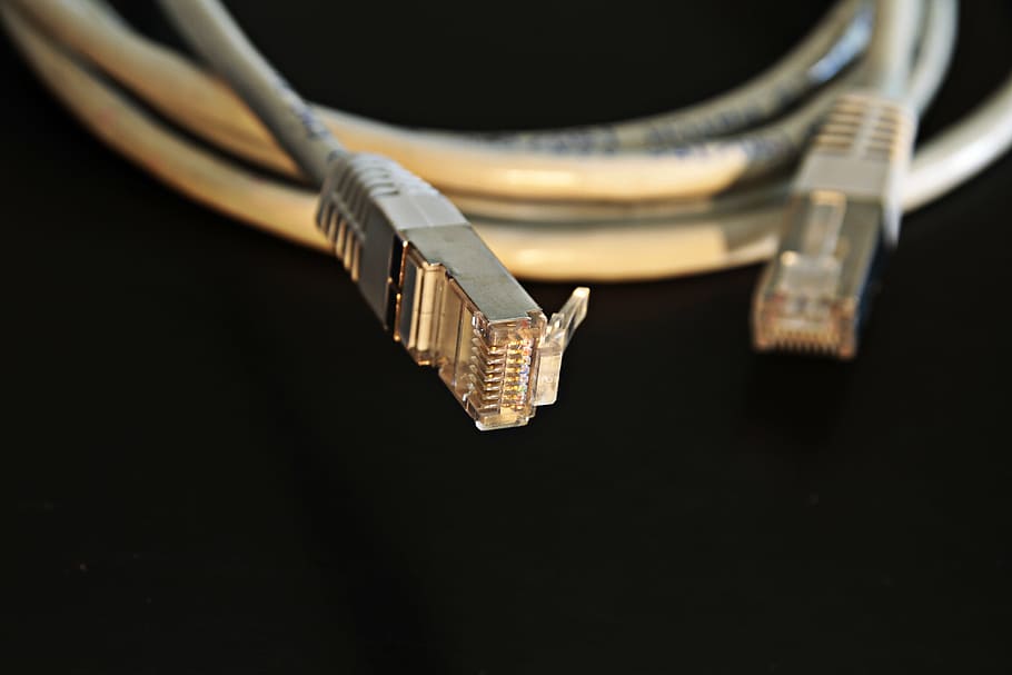 closeup photo Ethernet cable, network, network cables, connection, HD wallpaper