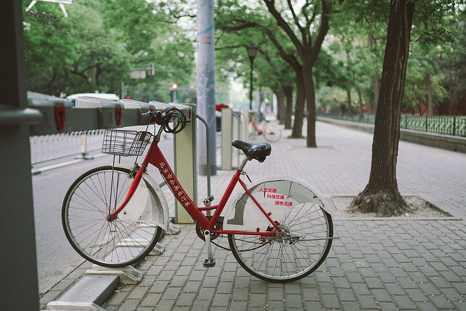 white and red bike parked beside tree, red bicycle near tree during daytime, HD wallpaper