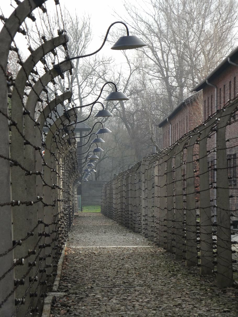 Auschwitz Concentration Cap, Poland, history, the museum, concentration camp, HD wallpaper