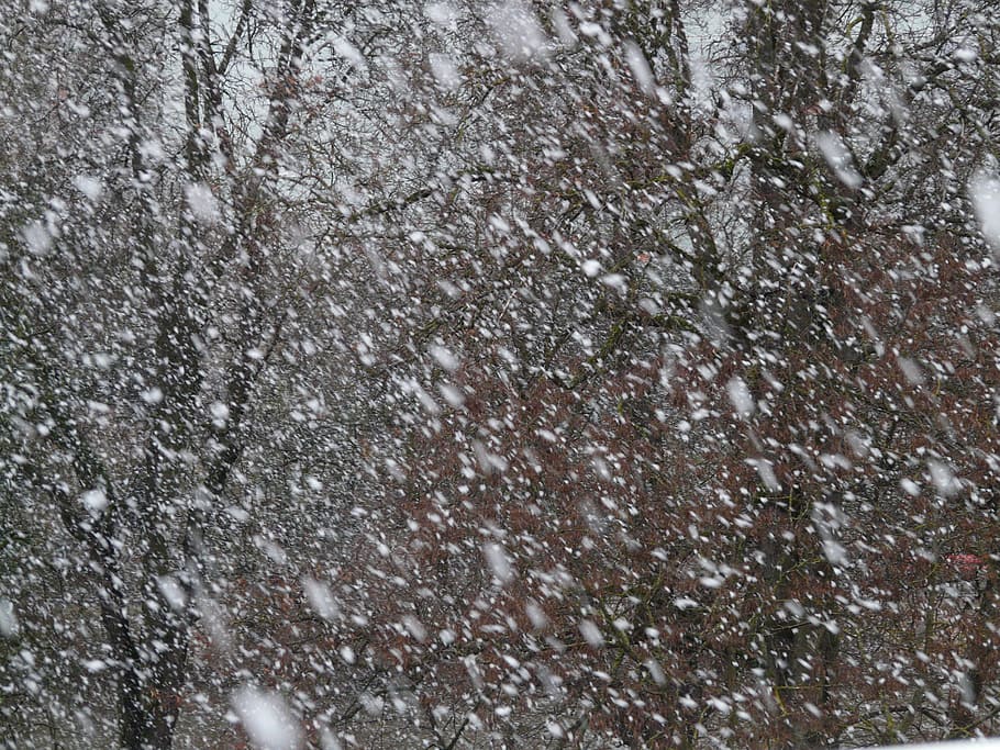 Snowfall, Snowflakes, Blizzard, winter, winter dream, cold HD wallpaper