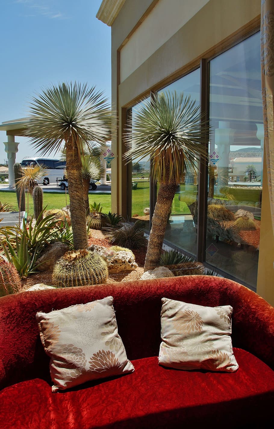 Window, View, Sofa, the view from the window, palm, cactus HD wallpaper