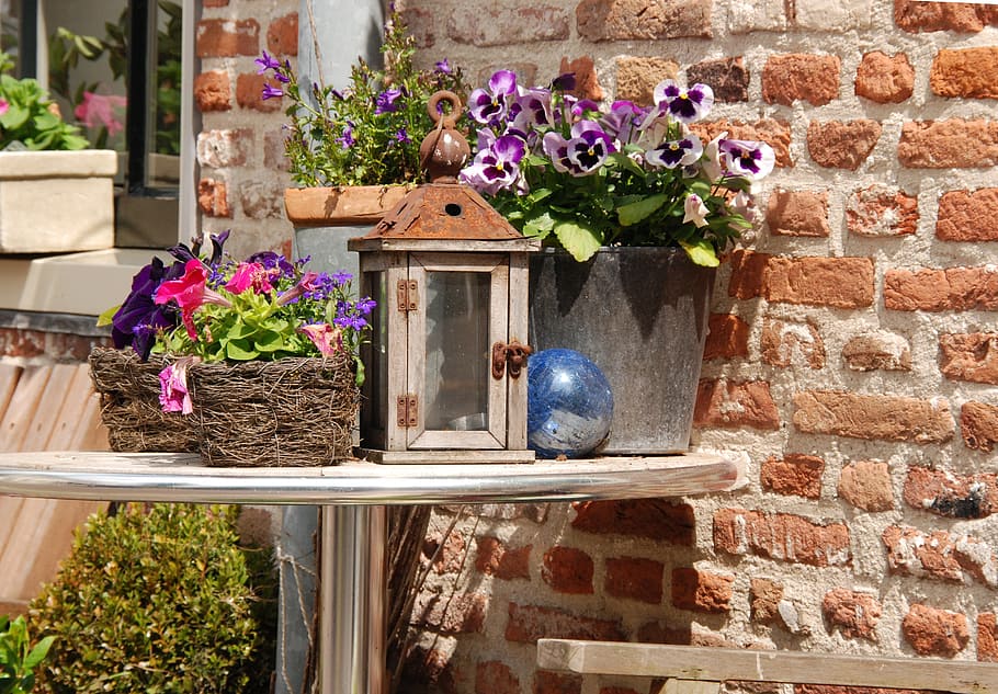 Table, Plant, Flower, Lantern, Wall, decoration, brick wall HD wallpaper