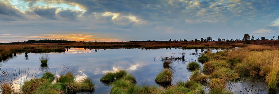 landscape photo of body of water, panorama, moor, swamp, nature conservation