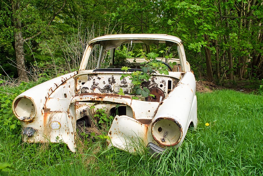 auto, nature, oldtimer, plant, abandoned, mode of transportation HD wallpaper