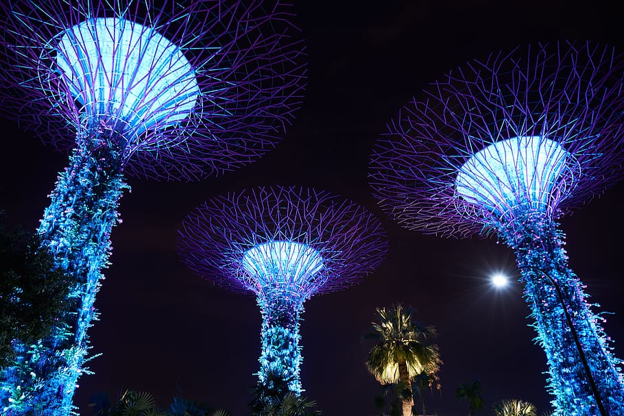 Garden by the Bay, Singapore, Botanical, Night, Lights, Asian HD wallpaper
