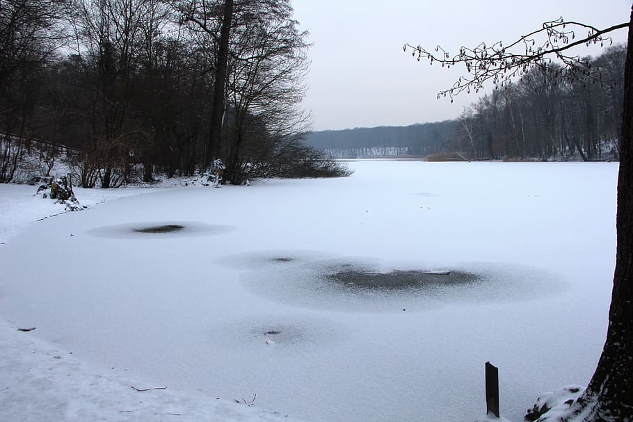 nature, winter, grunewald, lake, schlachtensee, snow, landscape, HD wallpaper