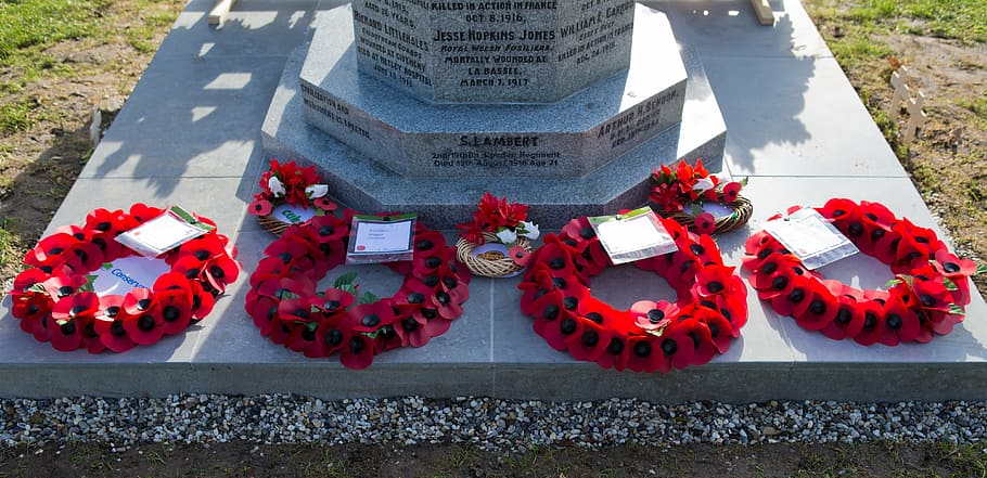 honouring the fallen, war memorial, poppy wreaths, remembrance