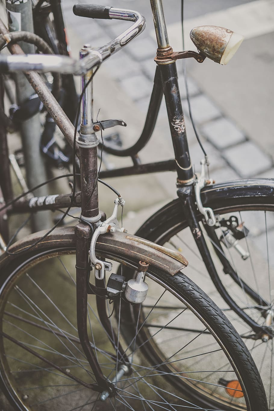 two brown and black commuter's bicycles, two black and gray bicycles HD wallpaper