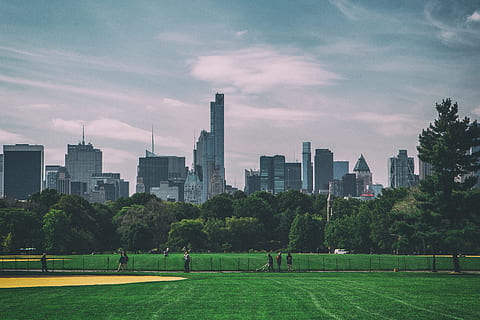 Wide-angle shot taken in Central Park, New York City. The skyscrapers of Manhattan can be seen in the background. HD wallpaper