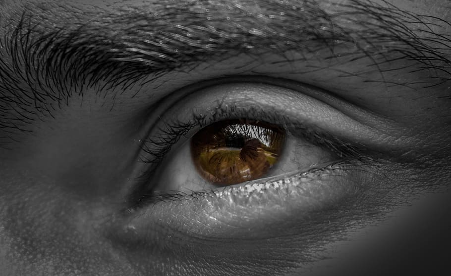 eyes, eyeball, eyebrow, human eye, eyesight, human body part HD wallpaper
