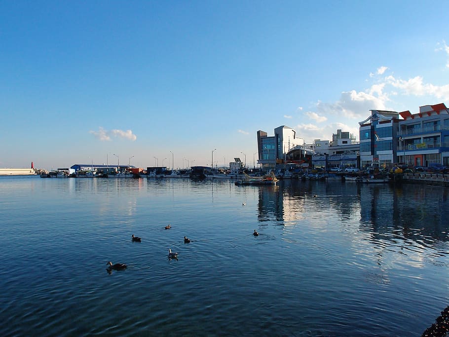 sea, sky, gangwon do, sokcho, daepo port, winter sea, water, HD wallpaper