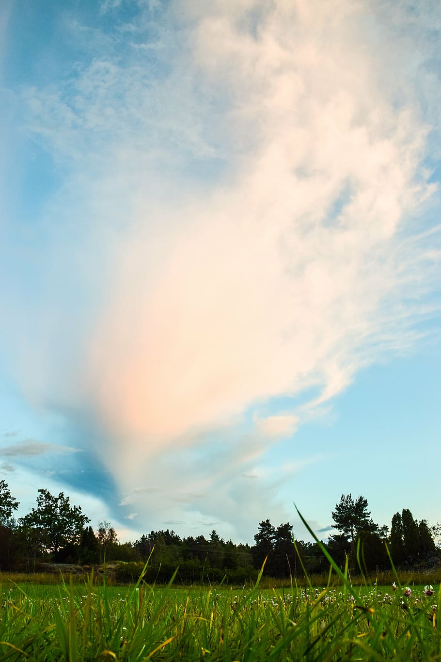 cloud, bed, go, himmel, landscapes, country, nature, beautifully HD wallpaper