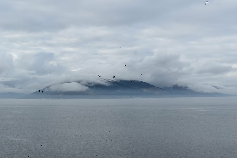 birds flying on mid air under cloudy skies, mist, river, mountains HD wallpaper