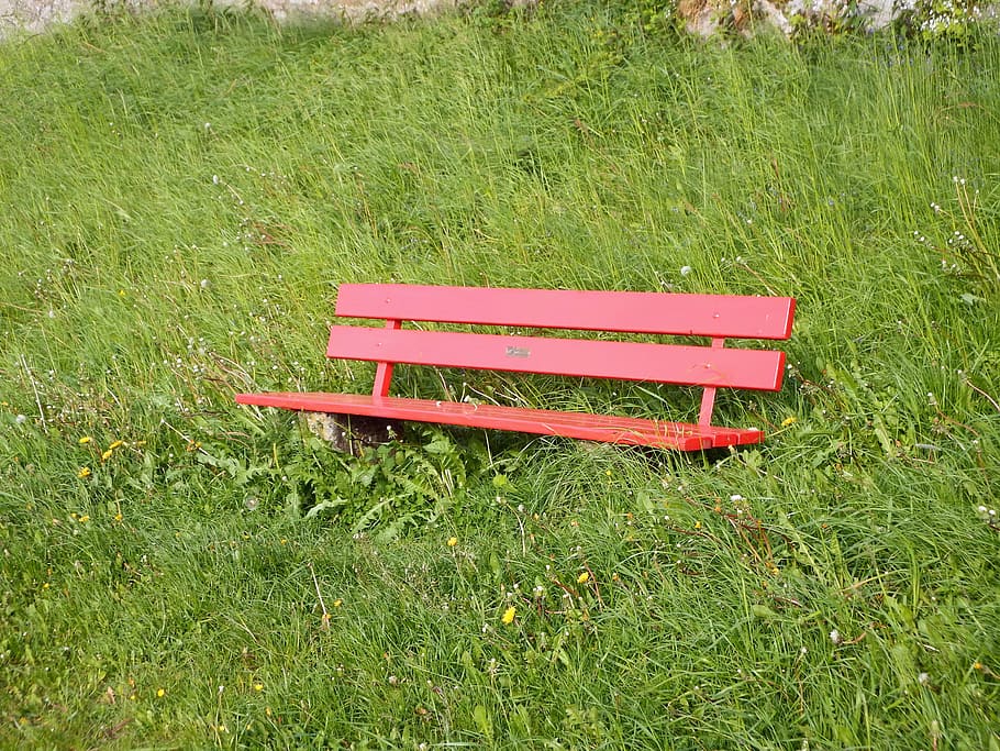 bench, meadow, grass, seat, bank, nature, rest, spring, out HD wallpaper